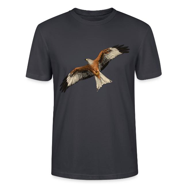 Birdingplaces Red Kite