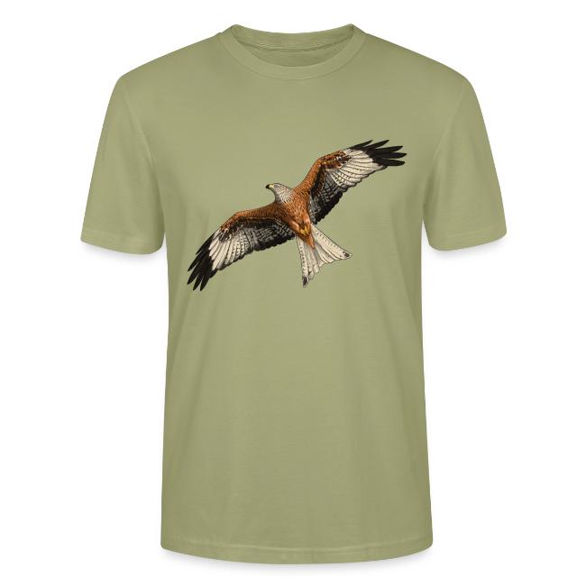 Birdingplaces Red Kite