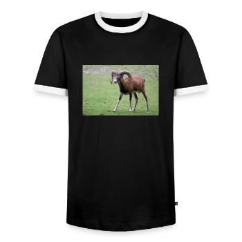 Mouflon européen Europäischer Mufflon - T-shirt contrasté Homme - noir/blanc - Devant - AI Model Female 172 light (172cm) & AI Model Male 178 light (178cm)