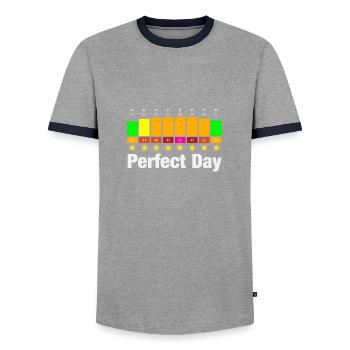 Perfect Day - Männer Kontrast-T-Shirt - Grau/Navy  - Vorne - AI Model Female 172 light (172cm) & AI Model Male 178 light (178cm)
