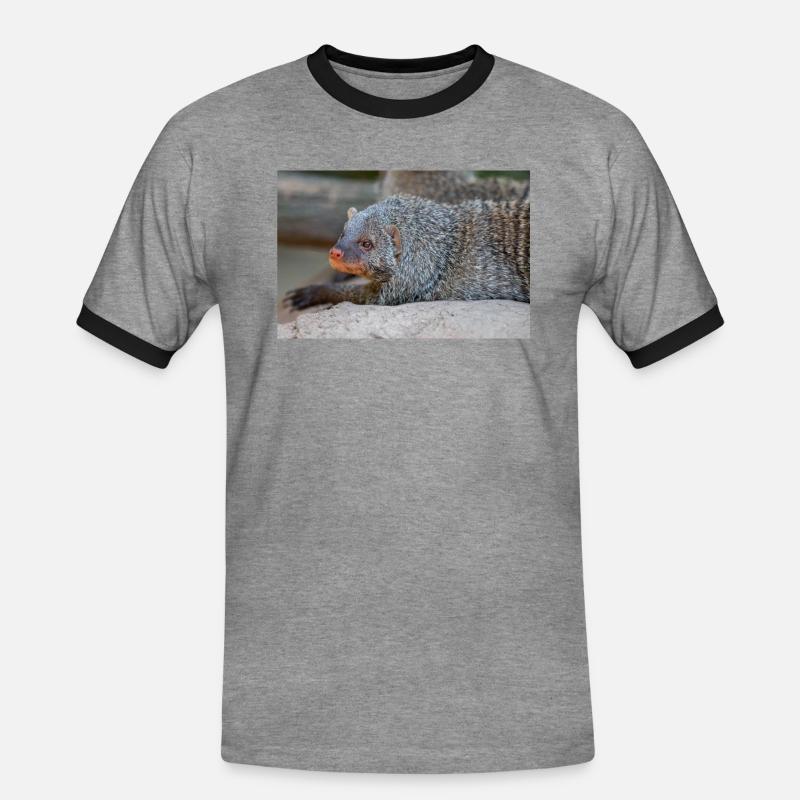 Gebänderte Manguste oder Zebramanguste Zebramanguste - Männer Kontrast-T-Shirt - Grau meliert/Schwarz