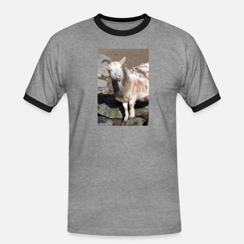 Zwergziege oder Zwergziege - Männer Kontrast-T-Shirt - Grau meliert/Schwarz