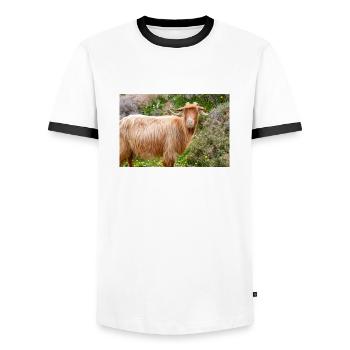 Chèvre de montagne dans le parc national Λίμνη Συμπ - T-shirt contrasté Homme - blanc/noir - Devant - AI Model Female 172 light (172cm) & AI Model Male 178 dark (178cm)