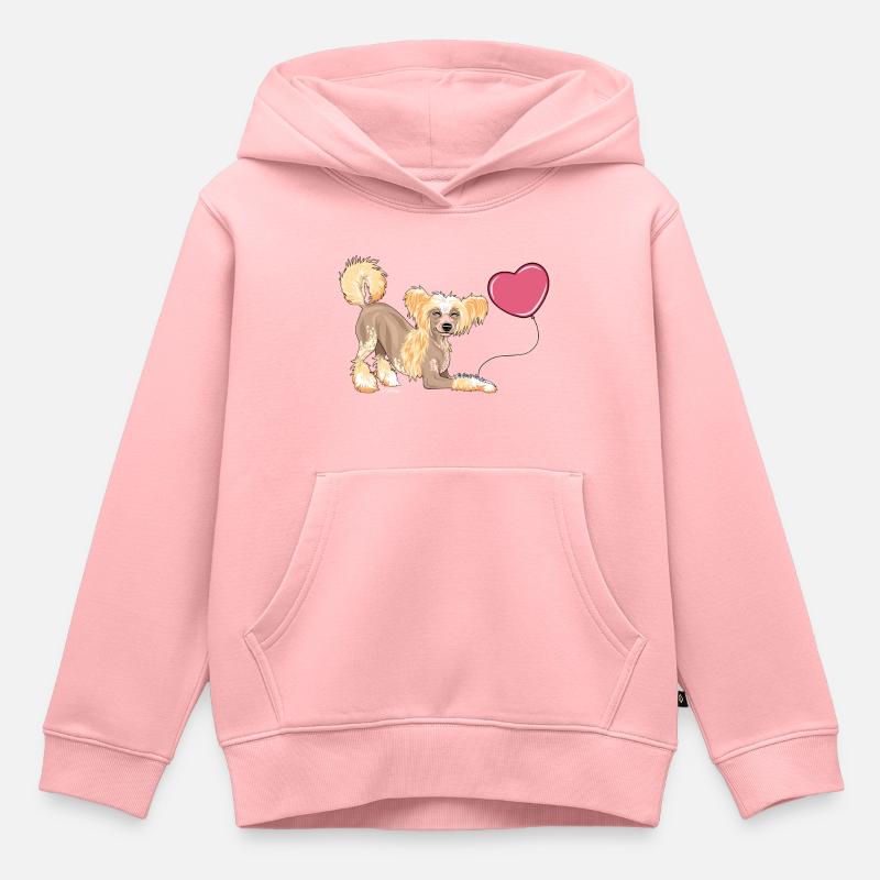 Ballon C chinois I - Sweat Premium à capuche enfant bio - rose