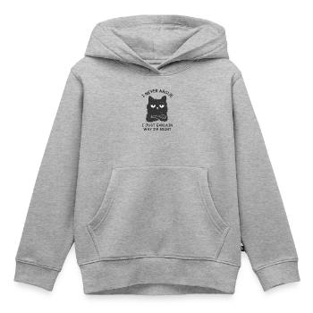 Ich streite nie - Kinder Premium Organic Hoodie - Grau meliert - Vorne - AI Model Kid Male (0cm)