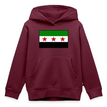 syrien flagge - Kinder Premium Organic Hoodie - Burgunderrot - Vorne - AI Model Kid Female (0cm)