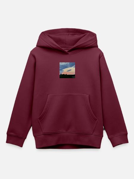 Red sky - Kinder Premium Organic Hoodie - Burgunderrot