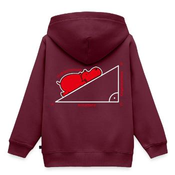 Hippotenuse Pythagoras Mathe Hippo Lehrer Geschenk - Kinder Premium Organic Hoodie - Burgunderrot - Hinten - AI Model Kid Female (0cm)