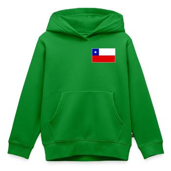 Chile Flag Classic Frame - Kinder Premium Organic Hoodie - Grün - Vorne - AI Model Kid Female (0cm)