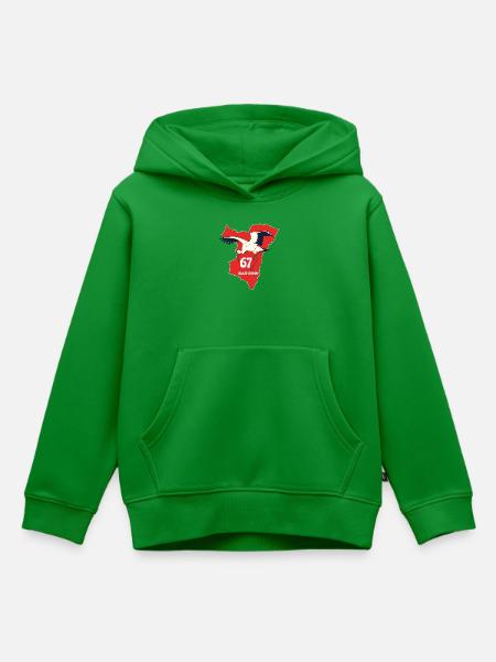 Bas-Rhin - Kinder Premium Organic Hoodie - Grün
