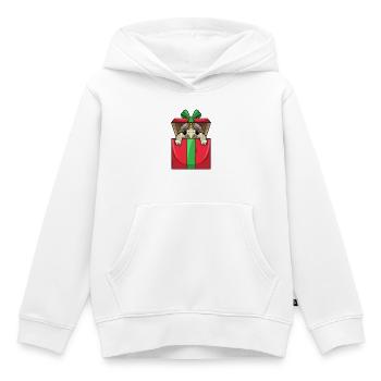 Turtle Birthday Package - Kids Premium Organic Hoodie - white - Front - AI Model Kid Female (0cm)