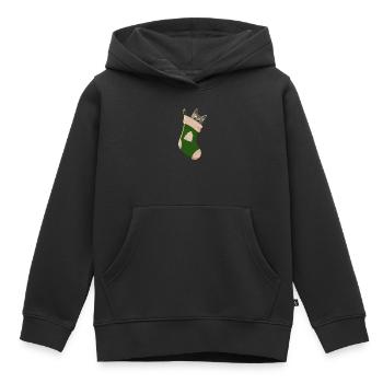 Gray cat in green boot - Kids Premium Organic Hoodie - black - Front - AI Model Kid Male (0cm)