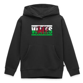 Pays de Galles - Sweat Premium à capuche enfant bio - noir - Devant - AI Model Kid Male (0cm)