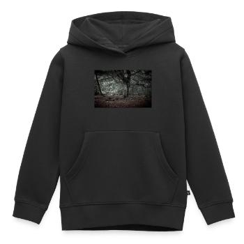 Dans la forêt de contes de fées - Sweat Premium à capuche enfant bio - noir - Devant - AI Model Kid Male (0cm)