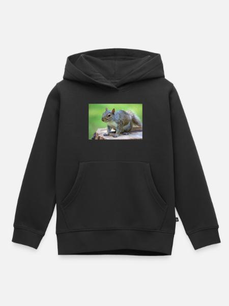 Grauhörnchen Sciurus carolinensis - Kinder Premium Organic Hoodie - Schwarz