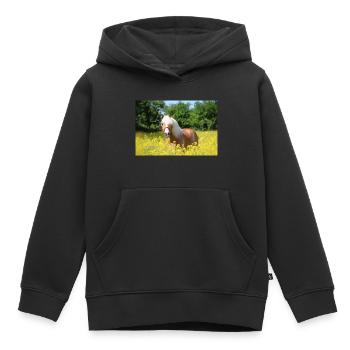 Haflinger dans le colza - Sweat Premium à capuche enfant bio - noir - Devant - AI Model Kid Male (0cm)