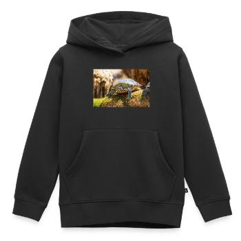 Gelbbauch-Slider Trachemys scripta scripta - Kinder Premium Organic Hoodie - Schwarz - Vorne - AI Model Kid Male (0cm)