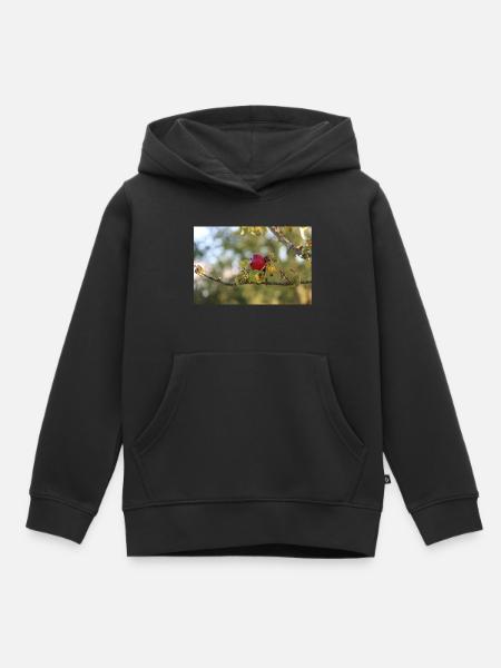 Der rote Apfel - Kinder Premium Organic Hoodie - Schwarz