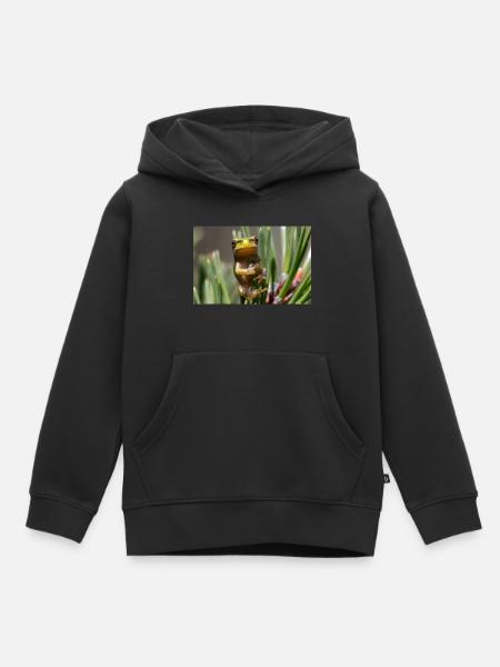 Laubfrosch - Kinder Premium Organic Hoodie - Schwarz