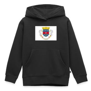 Saint Barthélemy - Kinder Premium Organic Hoodie - Schwarz - Vorne - AI Model Kid Male (0cm)