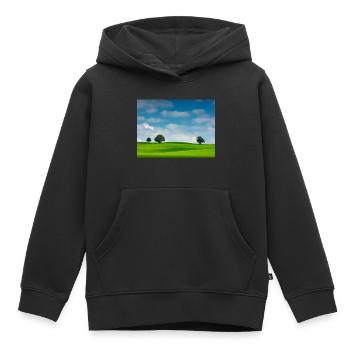 Paysage apaisant - Sweat Premium à capuche enfant bio - noir - Devant - AI Model Kid Male (0cm)