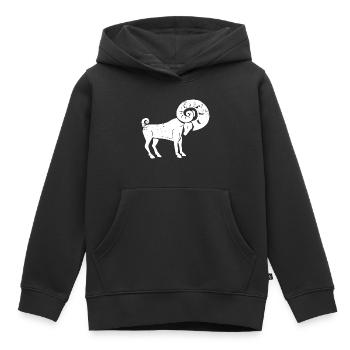 Sternzeichen Widder - Kinder Premium Organic Hoodie - Schwarz - Vorne - AI Model Kid Male (0cm)