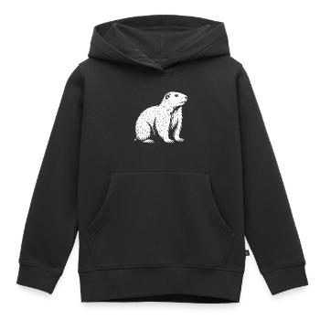 Roi de la Tranquillité Alpine - Sweat Premium à capuche enfant bio - noir - Devant - AI Model Kid Male (0cm)