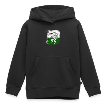 Steiermark - Kinder Premium Organic Hoodie - Schwarz - Vorne - AI Model Kid Male (0cm)