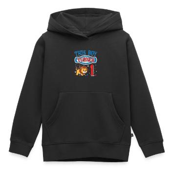Fête d’anniversaire du carrousel - Sweat Premium à capuche enfant bio - noir - Devant - AI Model Kid Male (0cm)
