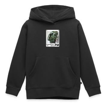 AI am Promethium (wt) - Kinder Premium Organic Hoodie - Schwarz - Vorne - AI Model Kid Male (0cm)