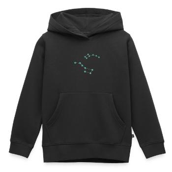 Großer Wagen Kleiner Wagen Sternbild Konstellation - Kinder Premium Organic Hoodie - Schwarz - Vorne - AI Model Kid Male (0cm)