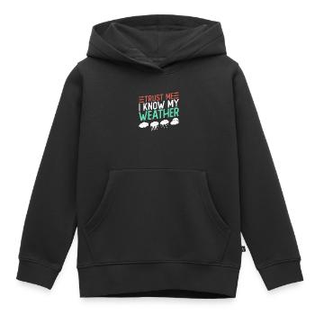 Météorologue Météo Climat Prévisions Météo - Sweat Premium à capuche enfant bio - noir - Devant - AI Model Kid Male (0cm)