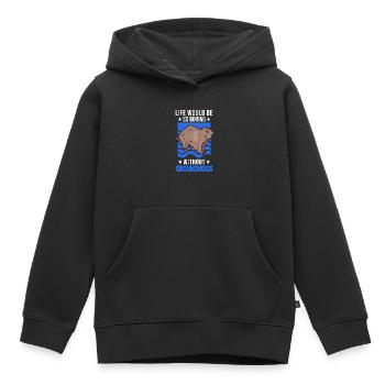 Marmotte Marmotte Marmotte de la forêt Marmotte - Sweat Premium à capuche enfant bio - noir - Devant - AI Model Kid Male (0cm)