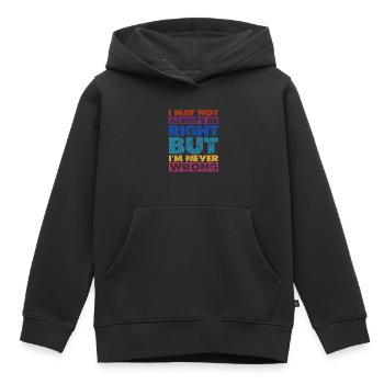 I May Not Always Be Right But I'm Never Wrong 16 - Kinder Premium Organic Hoodie - Schwarz - Vorne - AI Model Kid Male (0cm)