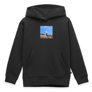 Möwe Norddeutschland - Kinder Premium Organic Hoodie - Schwarz - Vorne - AI Model Kid Male (0cm)