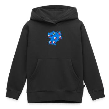 Région Rhône-Alpes - Sweat Premium à capuche enfant bio - noir - Devant - AI Model Kid Male (0cm)