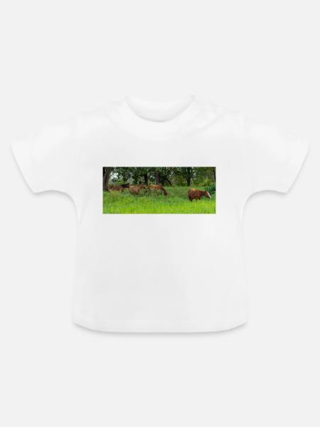 Pferde auf der Wiese - Baby Bio-T-Shirt mit Rundhals - Weiß