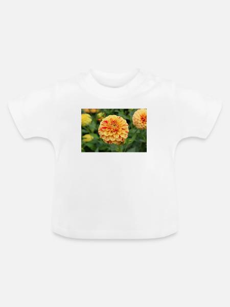 gelbe Dahlie Blüte Blume Poster - Baby Bio-T-Shirt mit Rundhals - Weiß