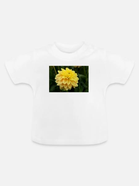 Dahlie gelb Blüte ,Blume - Baby Bio-T-Shirt mit Rundhals - Weiß