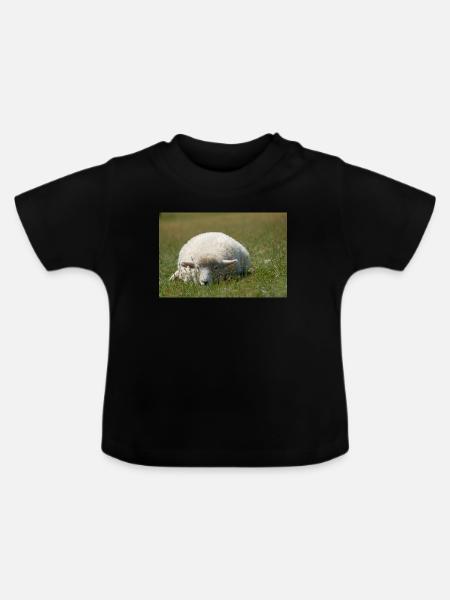 Ruhendes Schaf im Gras - Baby Bio-T-Shirt mit Rundhals - Schwarz