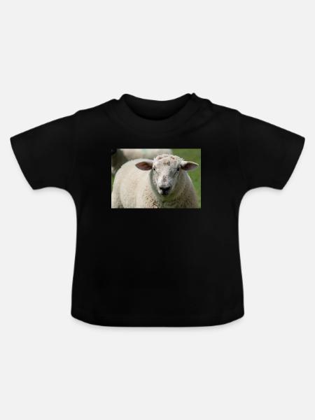 Nahaufnahme eines Schafes - Baby Bio-T-Shirt mit Rundhals - Schwarz