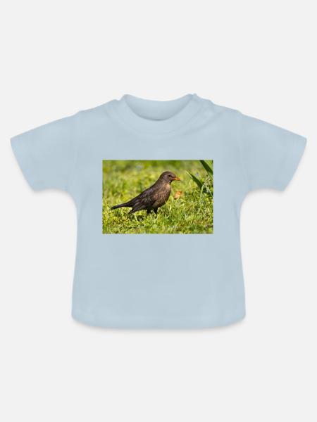 Amsel - Baby Bio-T-Shirt mit Rundhals - Hellblau