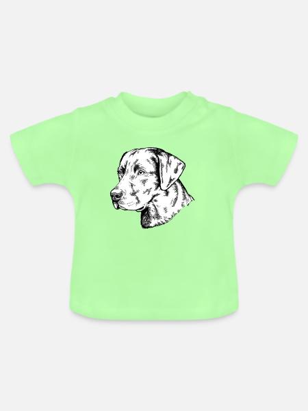 Retriever Portrait - Baby Bio-T-Shirt mit Rundhals - Mintgrün