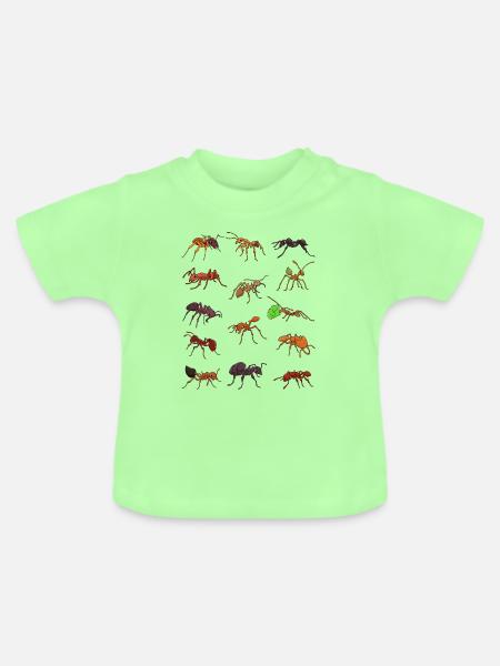 Viele verschiedene Ameisenarten - Baby Bio-T-Shirt mit Rundhals - Mintgrün