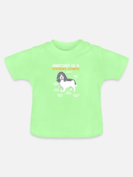 Springer Spaniel - Baby Bio-T-Shirt mit Rundhals - Mintgrün