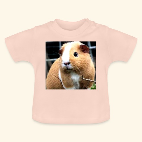 DSCF4902 - Baby Bio-T-Shirt mit Rundhals
