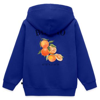 Bilbao - Espagne - Biscaye - Nervion - Souvenir - Sweat Premium à capuche zippé enfant bio - bleu roi - Dos - AI Model Kid Male (0cm)