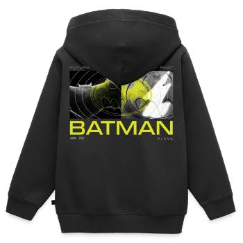 The Flash Und Batman Zukunft Und Vergangenheit - Kinder Premium Organic Zip Hoodie - Schwarz - Hinten - AI Model Kid Male (0cm)