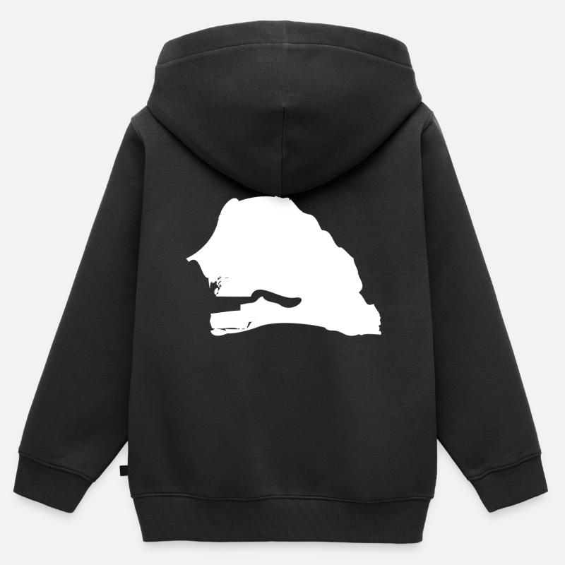 Drapeau de la carte du Sénégal - Sweat Premium à capuche zippé enfant bio - noir
