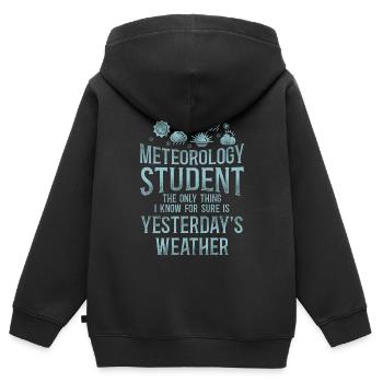 Météorologue Prévisions météorologiques - Sweat Premium à capuche zippé enfant bio - noir - Dos - AI Model Kid Male (0cm)